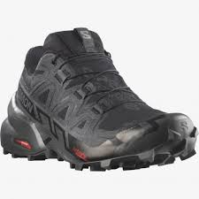 chaussure trail salomon